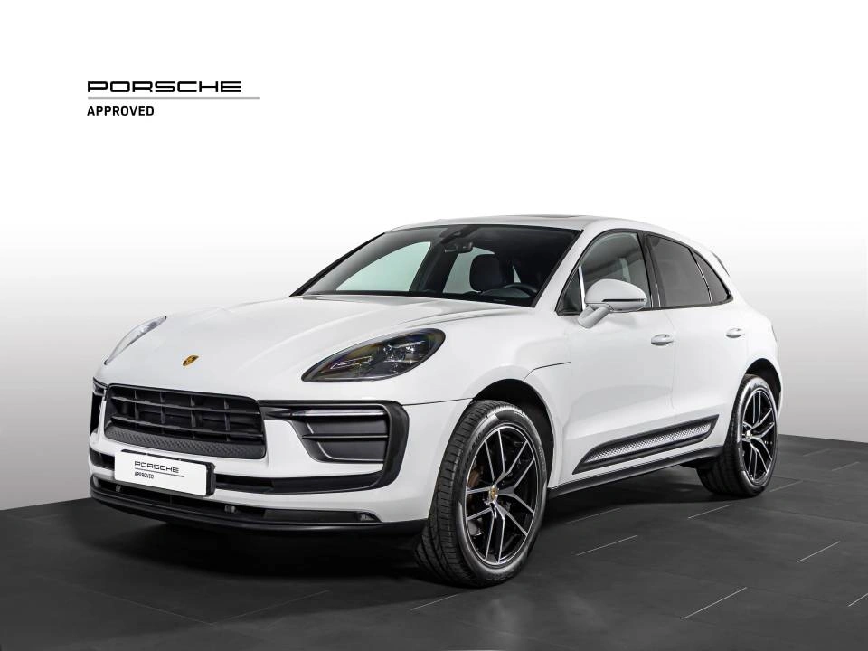 Macan