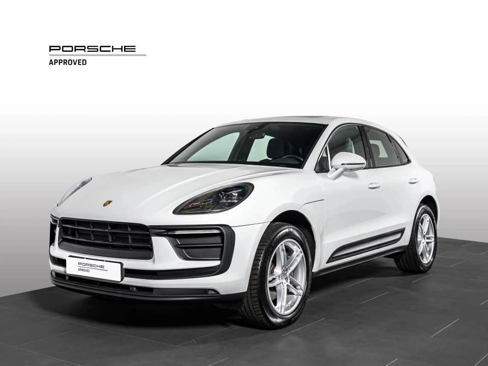 Macan